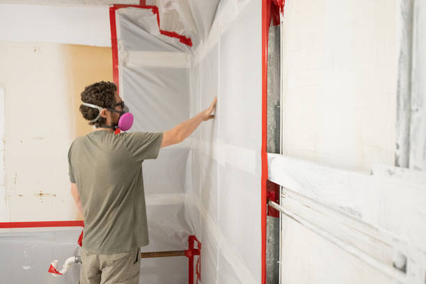 Best Mold Removal for HVAC Installations  in Georgetown, KY