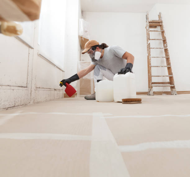 Best Forensic Mold Investigation  in Georgetown, KY