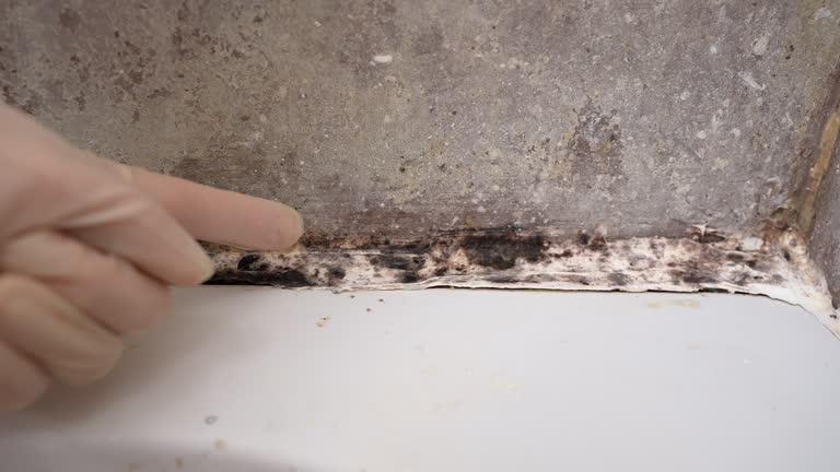 Best Mold Remediation for Healthcare Facilities  in Georgetown, KY